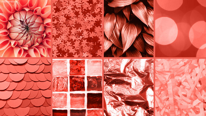 Pantone 2019ɫɺůĹռ